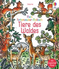 Mein Farbenzauber-Malbuch: Tiere des Waldes