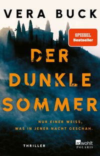 Der dunkle Sommer