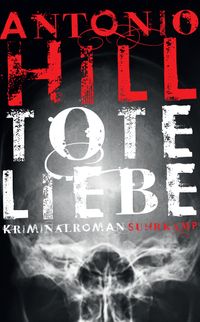 Tote Liebe - Kriminalroman (Héctor-Salgado-Trilogie 3)