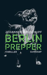 Berlin Prepper - Thriller (Berlin Noir 1)