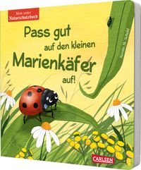 Pass gut auf den kleinen Marienkäfer auf