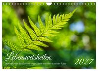 Lebensweisheiten, motivierende Sprüche und kluge Zitate mit Bildern der Natur (Wandkalender 2027 DIN A4 quer), CALVENDO Monatskalender