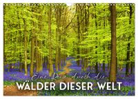 Eine Reise durch die Wälder dieser Welt (Wandkalender 2027 DIN A3 quer), CALVENDO Monatskalender