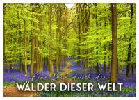 Eine Reise durch die Wälder dieser Welt (Wandkalender 2027 DIN A4 quer), CALVENDO Monatskalender