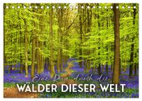 Eine Reise durch die Wälder dieser Welt (Tischkalender 2027 DIN A5 quer), CALVENDO Monatskalender