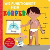 Wie funktioniert mein Körper