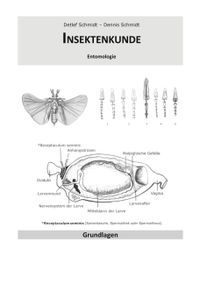 Insektenkunde