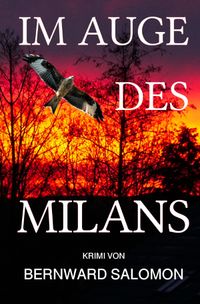 Im Auge des Milans