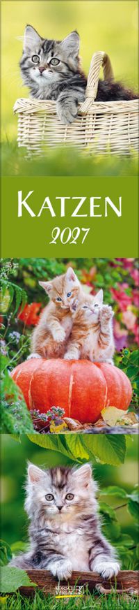 Katzen Langplaner 2027