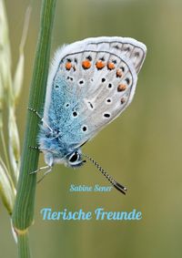 Tierische Freunde