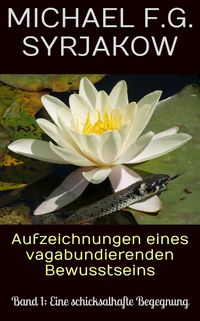 Aufzeichnungen eines vagabundierenden Bewusstseins