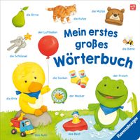 Mein erstes großes Wörterbuch