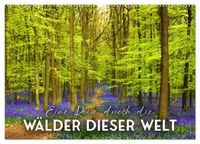 Eine Reise durch die Wälder dieser Welt (Wandkalender 2027 DIN A2 quer), CALVENDO Monatskalender