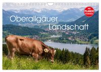 Oberallgäuer Landschaft (Wandkalender 2027 DIN A4 quer), CALVENDO Monatskalender