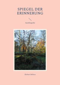Spiegel der Erinnerung