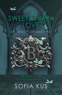 Sweet broken Love