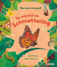 Aus klein wird groß. So wächst ein Schmetterling