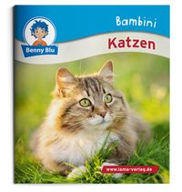 Bambini Katzen